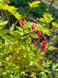 Similar image 22181697