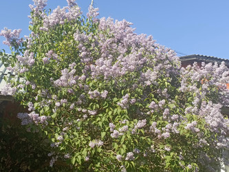 Similar image 22181698