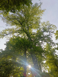 Similar image 22181705