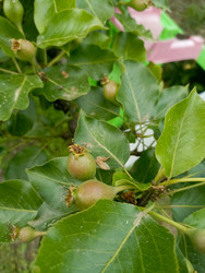 Similar image 22181708