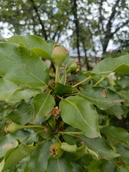 Similar image 22181709