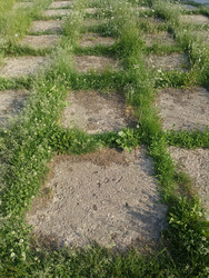 Similar image 22181719