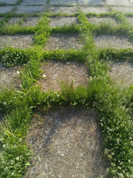 Similar image 22181720