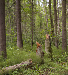 Similar image 22188302