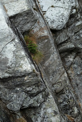 Similar image 22188434