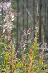 Similar image 22188436