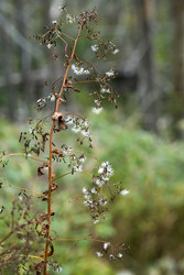 Similar image 22189055