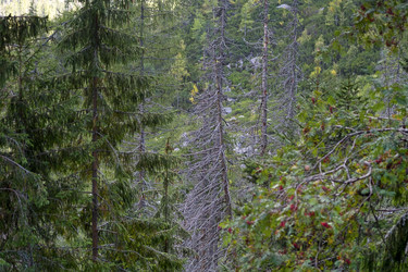 Similar image 22189068