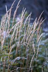 Similar image 22189070