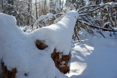 Similar image 22187132