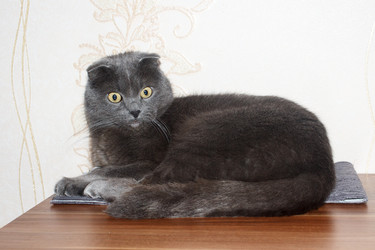 Similar image 22187147