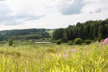 Similar image 22187153