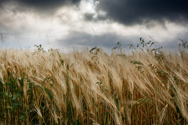 Similar image 22187168