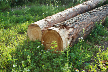 Similar image 22187171