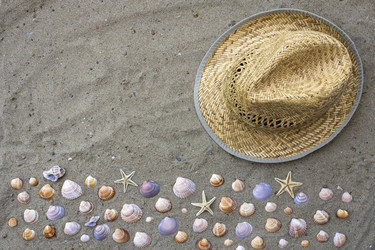 Similar image 22186585