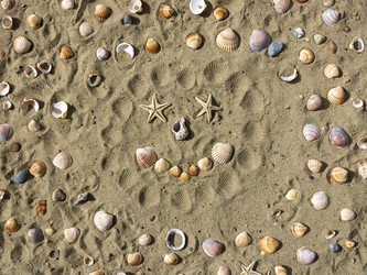 Similar image 22186587