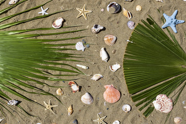 Similar image 22186589