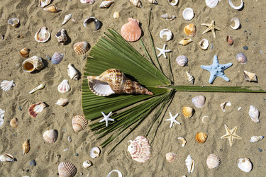 Similar image 22186590