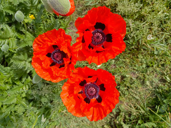 Similar image 22181728