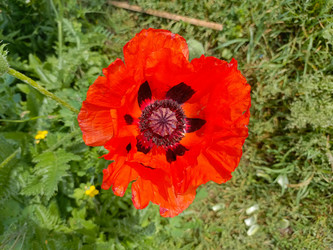 Similar image 22181729