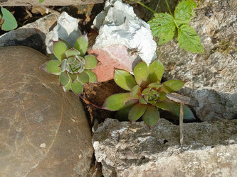 Similar image 22181730