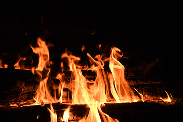 Similar image 22187200