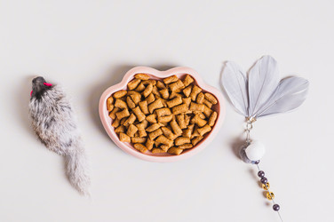 Similar image 22187215