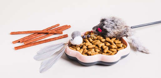 Similar image 22187220