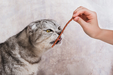 Similar image 22187222