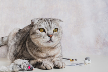 Similar image 22187223