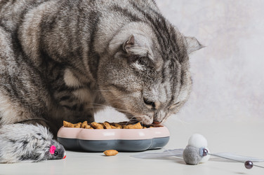 Similar image 22187224