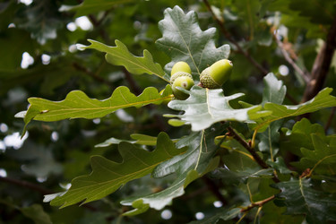 Similar image 22187276