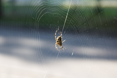 Similar image 22187277