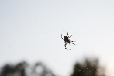 Similar image 22187278