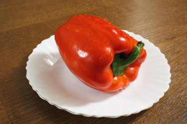 Similar image 22187284