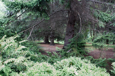 Similar image 22187286