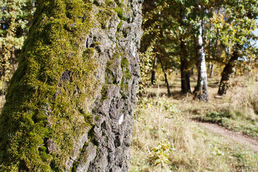 Similar image 22187294