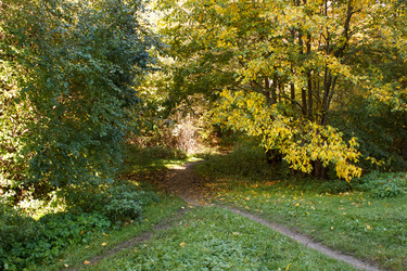 Similar image 22187295