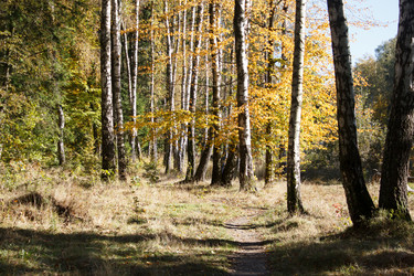 Similar image 22187296