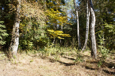 Similar image 22187297