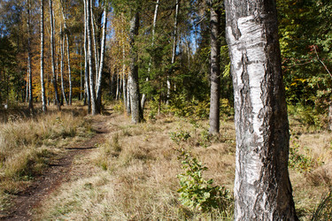 Similar image 22187298