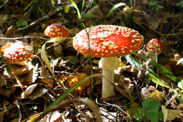 Similar image 22187299