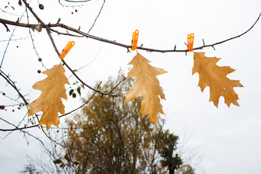 Similar image 22187300