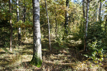 Similar image 22187301