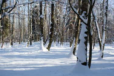 Similar image 22187302