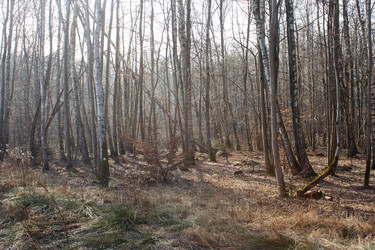 Similar image 22187303