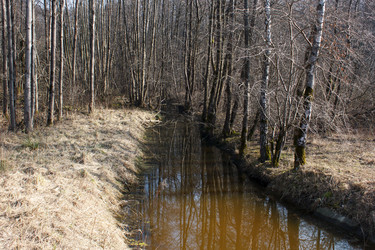 Similar image 22187304