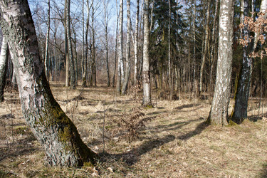 Similar image 22187306