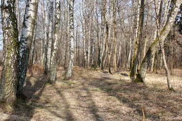 Similar image 22187307