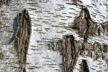 Similar image 22187308